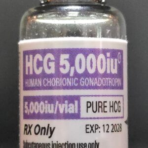 Human Chorionic Gonadotropin (HCG)